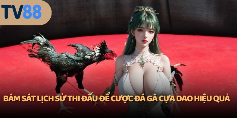 Bám sát lịch sử thi đấu để cược đá gà cựa dao hiệu quả