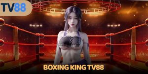 Boxing King TV88