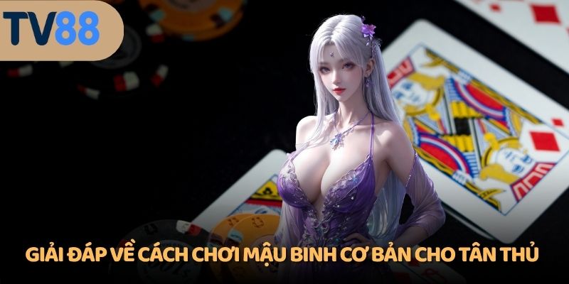 Giải đáp về cách chơi Mậu Binh cơ bản cho tân thủ
