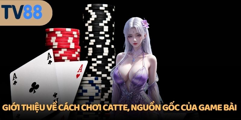 Giới thiệu về cách chơi Catte, nguồn gốc của game bài