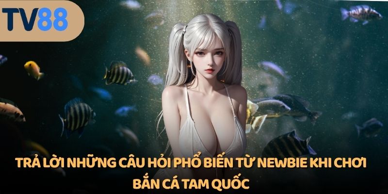 Trả lời những câu hỏi phổ biến từ newbie khi chơi bắn cá tam quốc