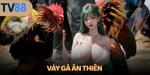Vảy gà Án Thiên